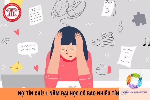 học đại học bao nhiêu tín chỉ - Hình 5
