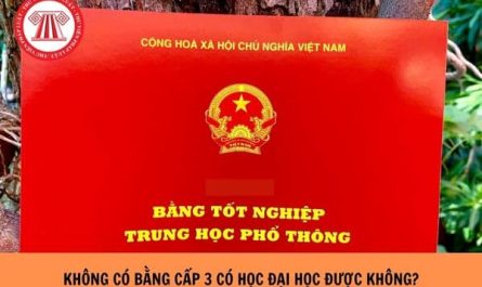 học đại học có cần bằng cấp 3 không