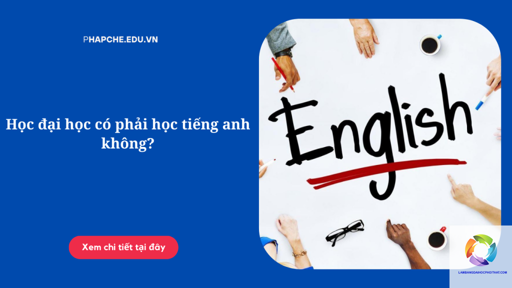 học đại học có cần tiếng anh không - Hình 4