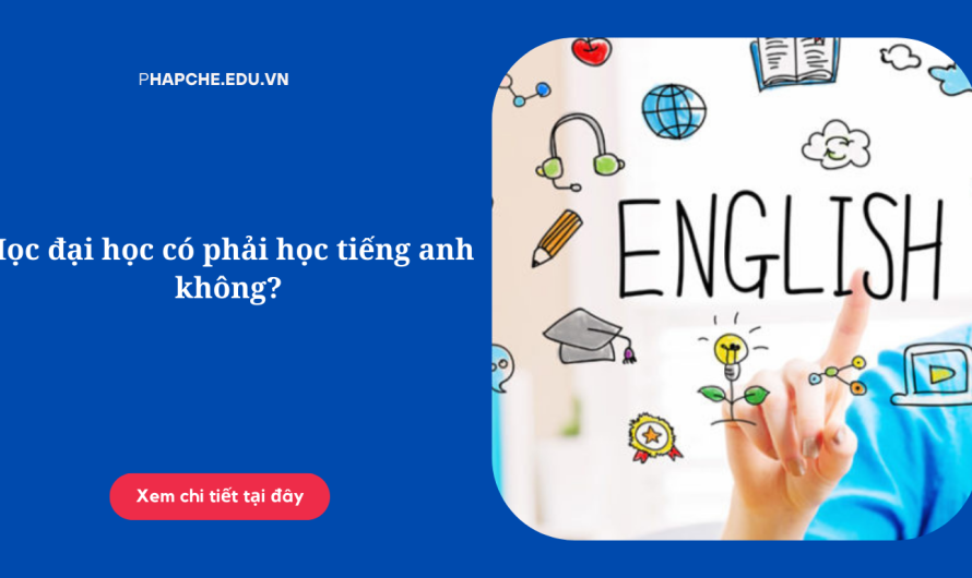 Học đại học có cần tiếng anh không? Sự thật bạn cần biết ngay