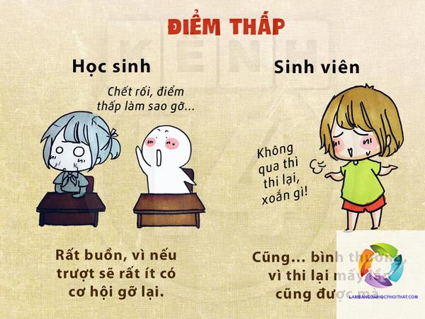 học đại học có khó không - Hình 5