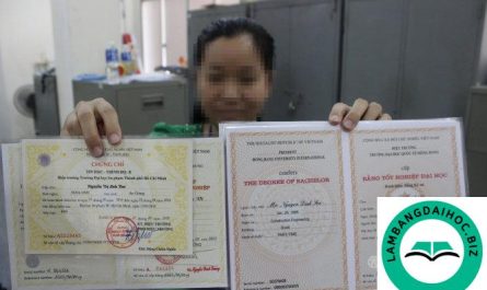 kiểm tra bằng đại học thật giả