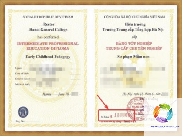 kiểm tra bằng đại học thật giả - Hình 5