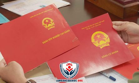 làm giả bằng đại học bị phạt bao nhiêu