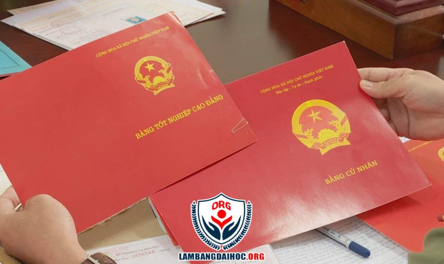 Làm giả bằng đại học bị phạt bao nhiêu? Mức xử phạt và hình sự mới nhất 2024
