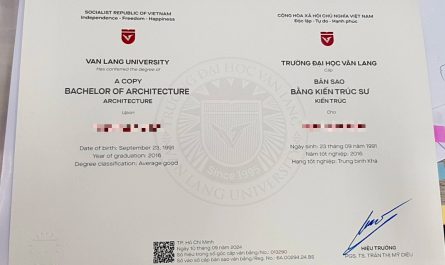 mất bằng đại học có cấp lại không