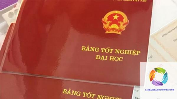 mất bằng đại học phải làm sao - Hình 3