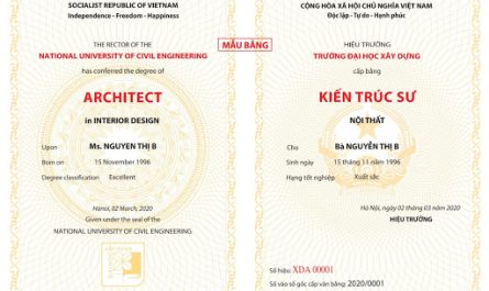 mẫu bằng đại học mới nhất