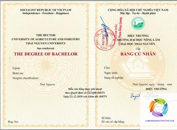 mẫu bằng đại học mới nhất - Hình 5