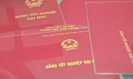 mua bán bằng đại học có vi phạm pháp luật không
