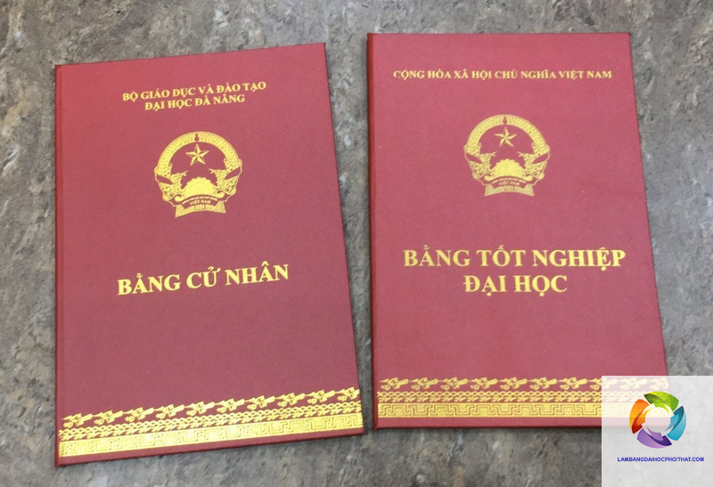 mua bán bằng đại học có vi phạm pháp luật không - Hình 5
