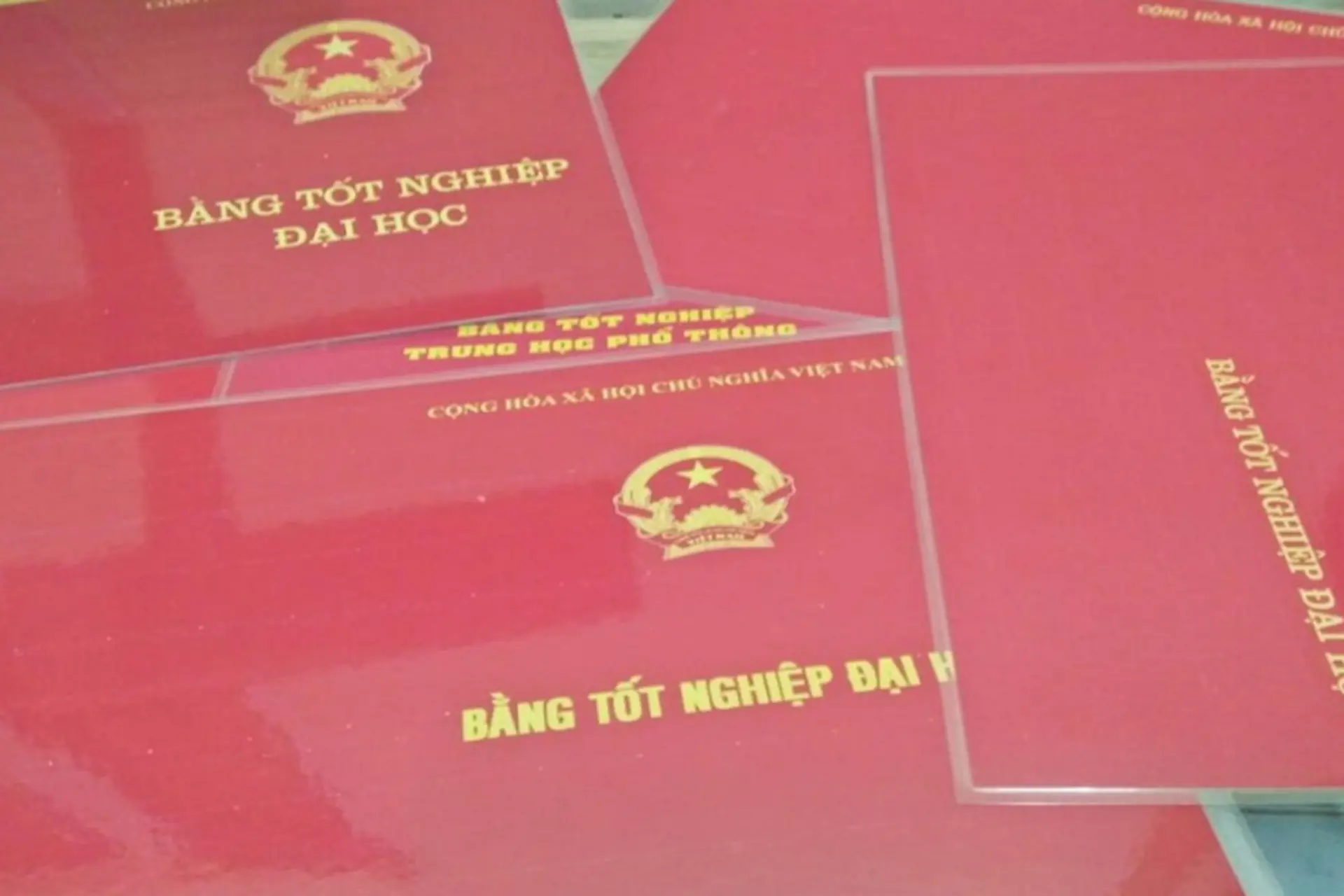 mua bán bằng đại học có vi phạm pháp luật không - Hình 1
