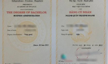 nhận bằng đại học online được không
