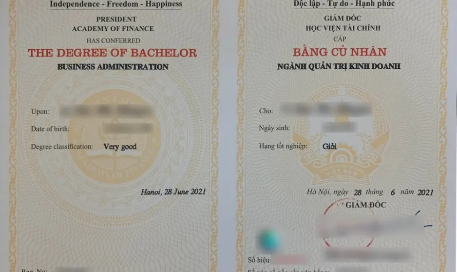 Nhận bằng đại học online được không? Giải đáp chi tiết từ A đến Z cho người đi làm