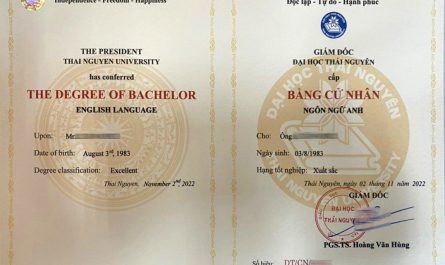 nội dung bằng đại học