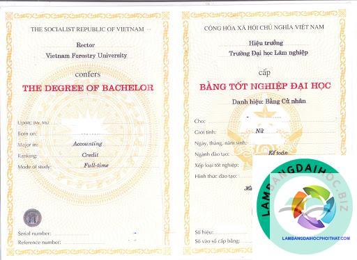 phôi bằng đại học là gì - Hình 2