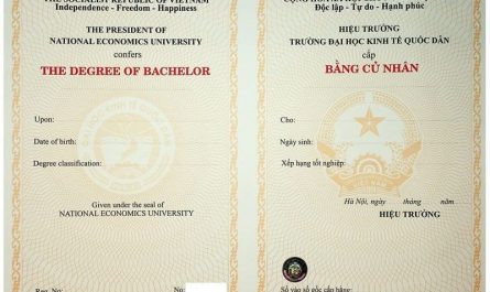 phôi bằng đại học là gì