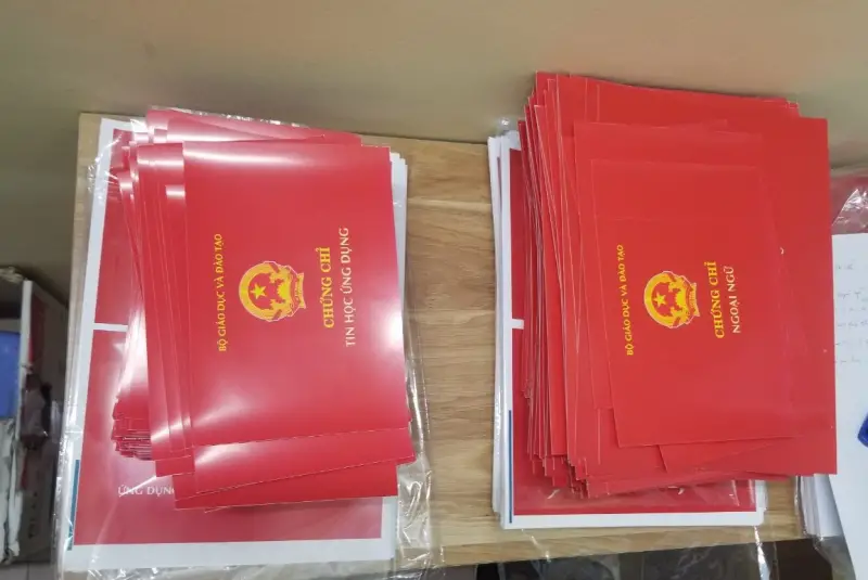 phôi bằng đại học là gì - Hình 5