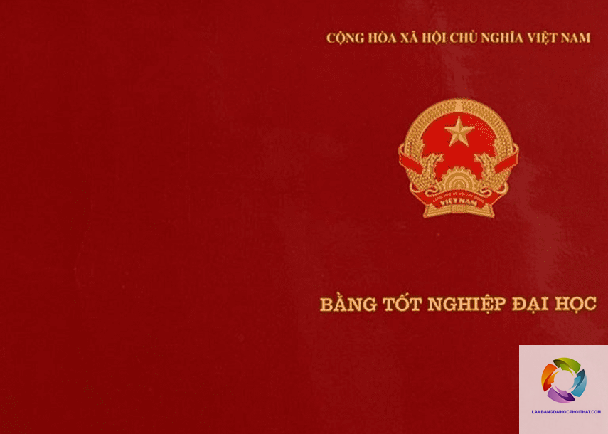 số hiệu bằng đại học là gì - Hình 3