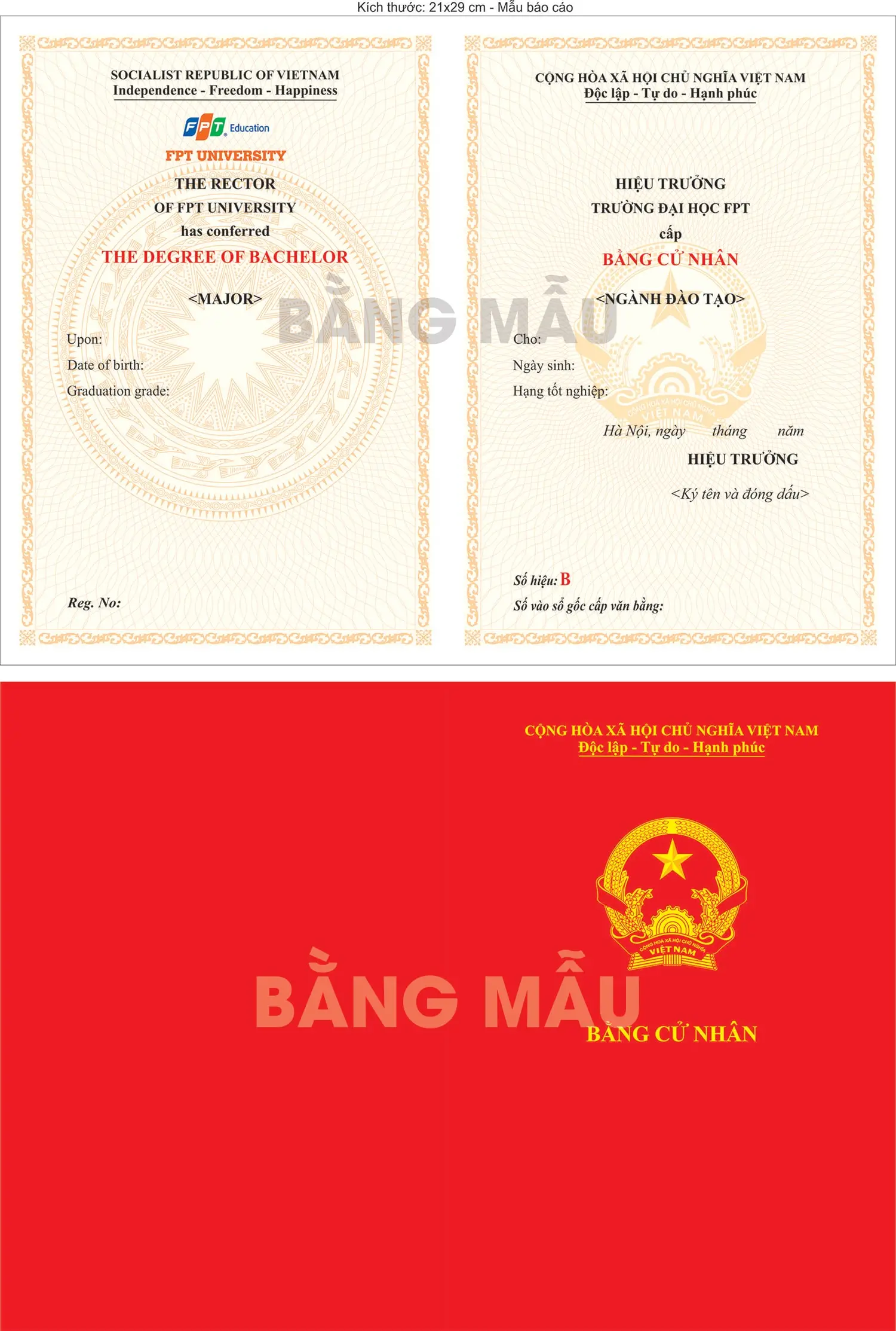 số seri bằng đại học là gì - Hình 3