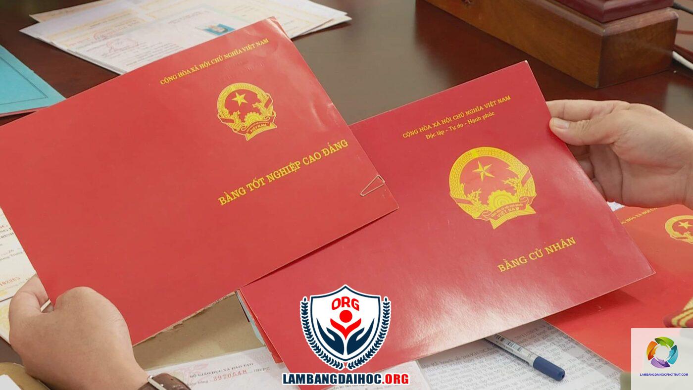 sử dụng bằng đại học giả có phạm luật không - Hình 3