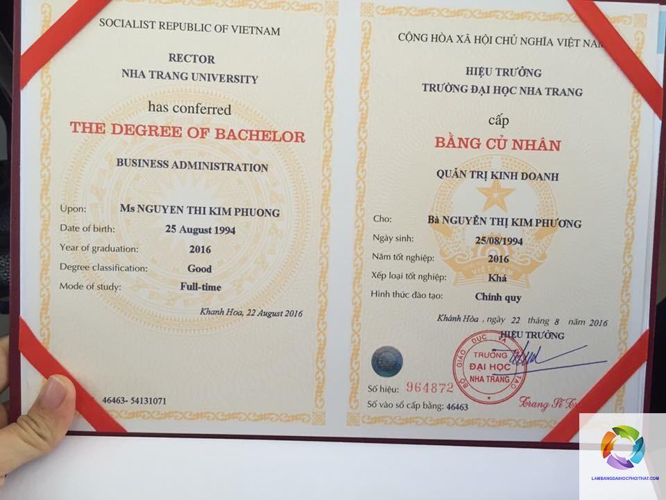 sử dụng bằng đại học giả có phạm luật không - Hình 4