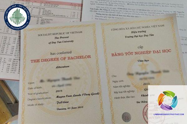trên bằng đại học ghi những gì - Hình 2