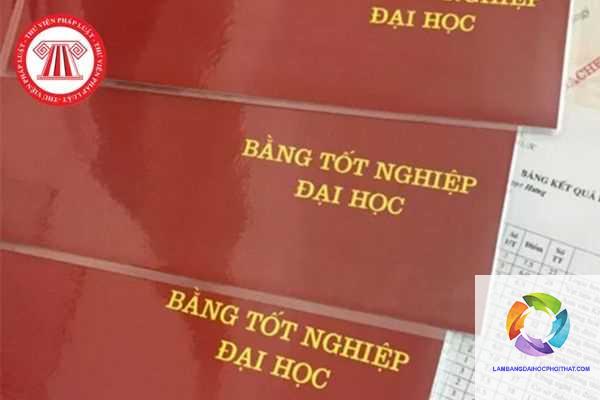 trên bằng đại học ghi những gì - Hình 3