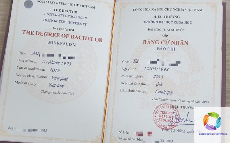 trên bằng đại học ghi những gì - Hình 4