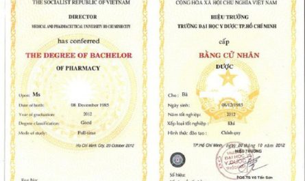 trên bằng đại học ghi những gì