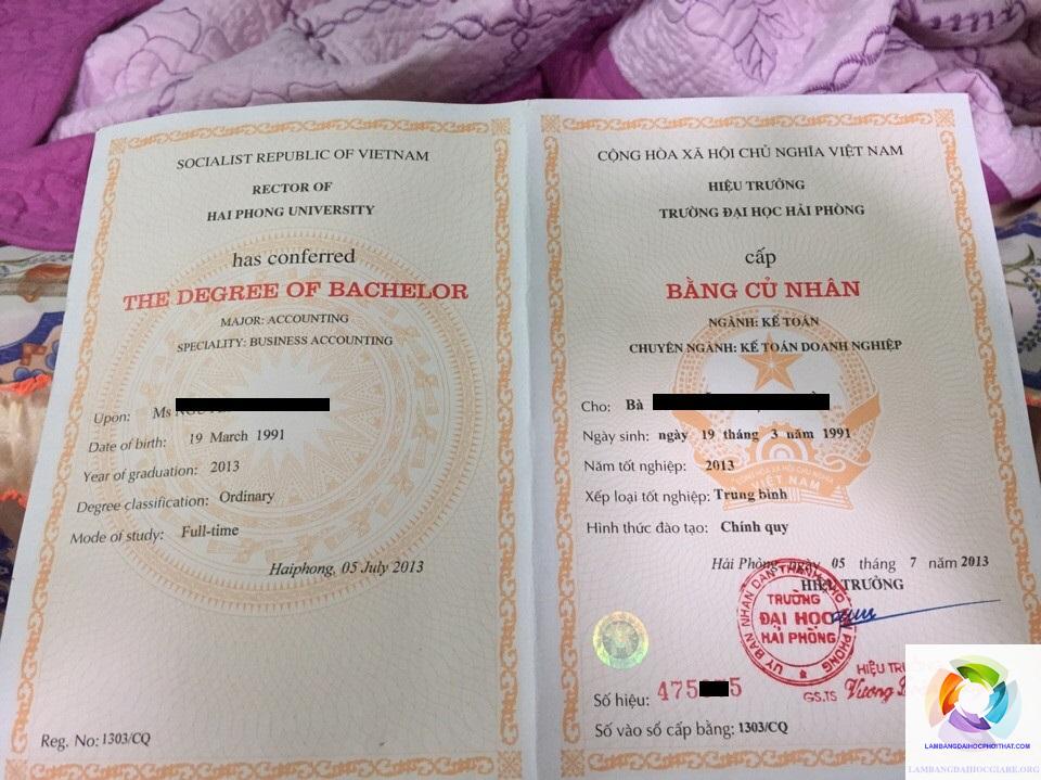 vai trò của bằng đại học - Hình 2