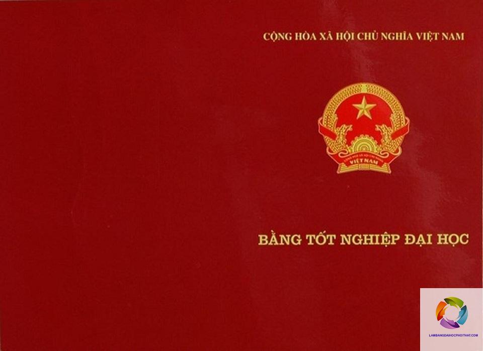 ý nghĩa của bằng đại học - Hình 4