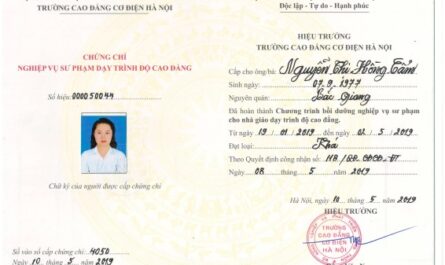 bằng cao đẳng cơ điện tử làm nhà máy được không