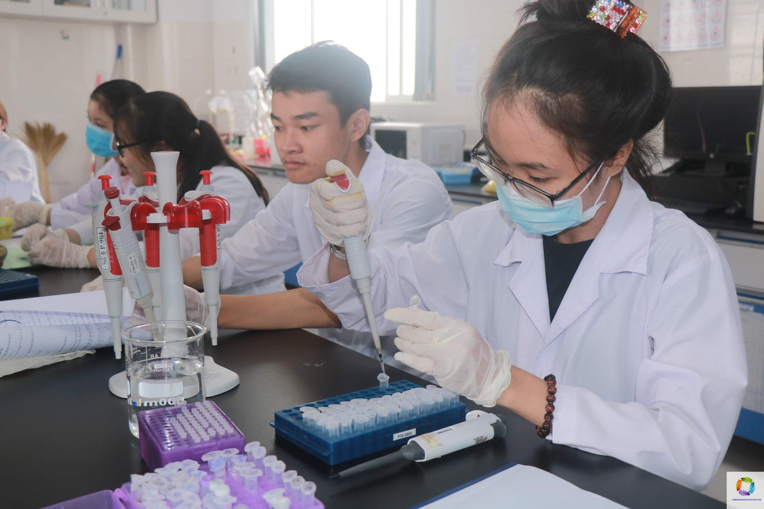 bằng cao đẳng công nghệ sinh học làm phòng thí nghiệm được không - Image 1