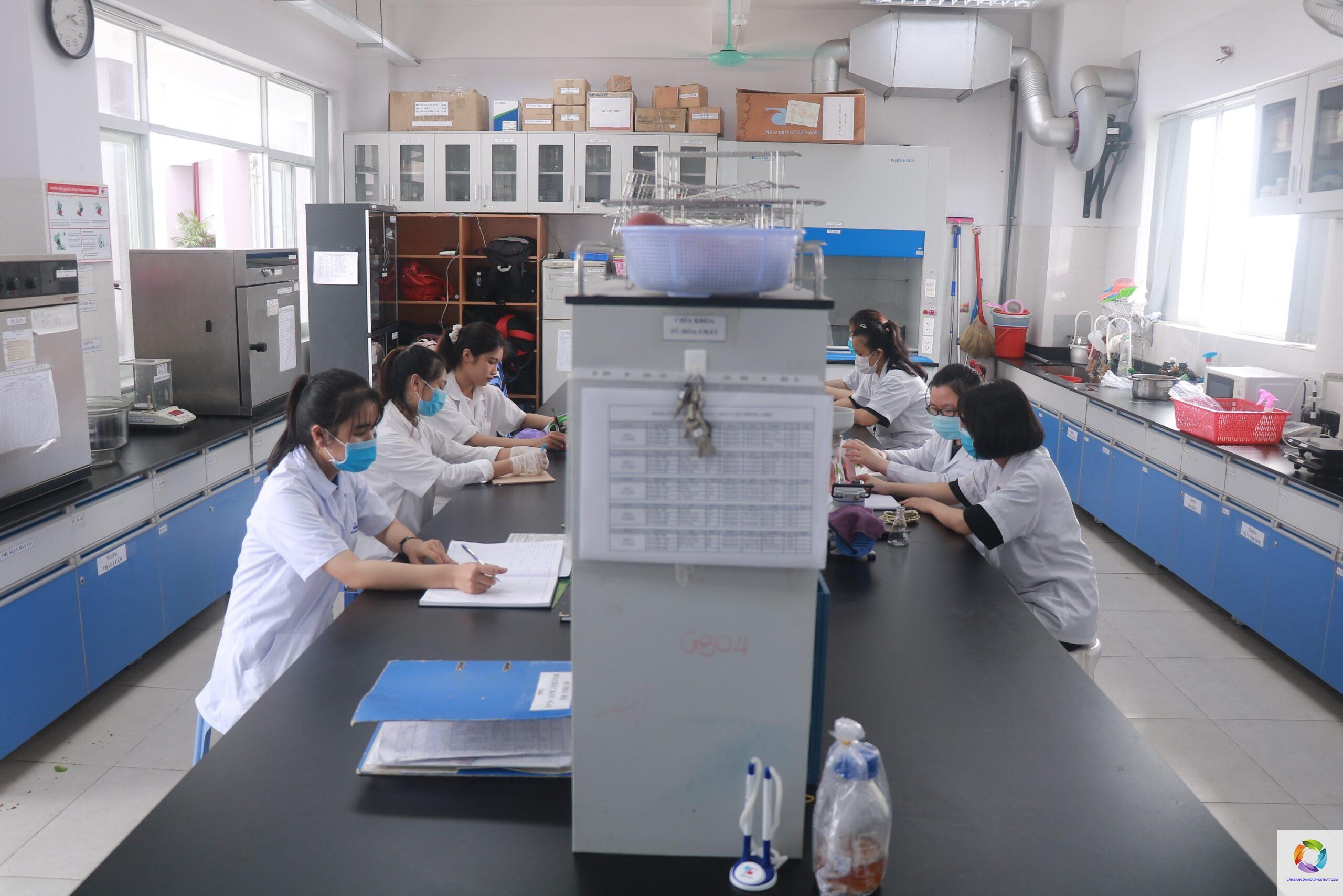 bằng cao đẳng công nghệ sinh học làm phòng thí nghiệm được không - Image 2