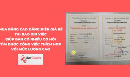 bằng cao đẳng điện điện tử làm kỹ thuật sản xuất được không