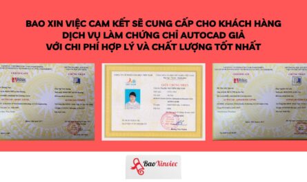 bằng cao đẳng kiến trúc làm autocad được không