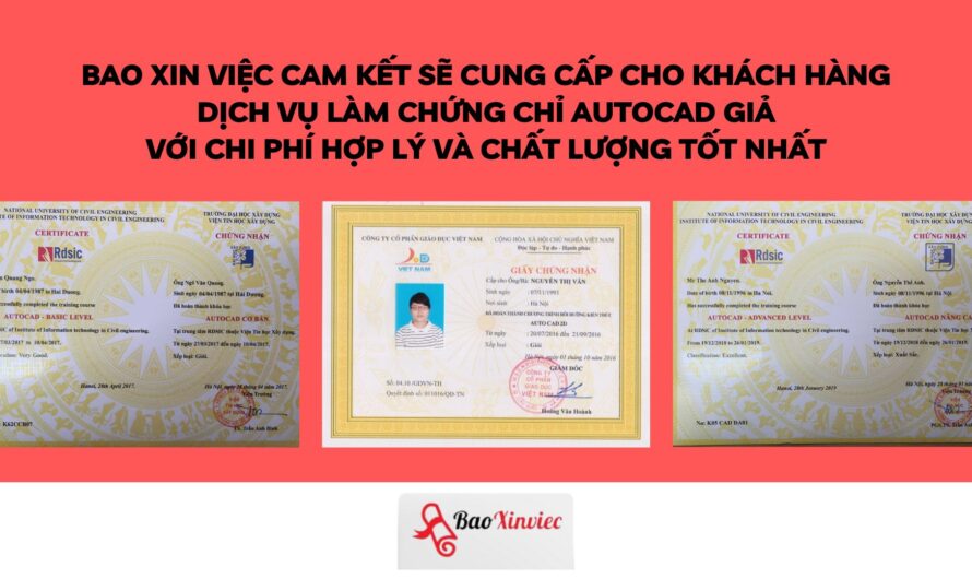 Bằng cao đẳng kiến trúc làm AutoCAD được không? Giải đáp chi tiết từ A-Z