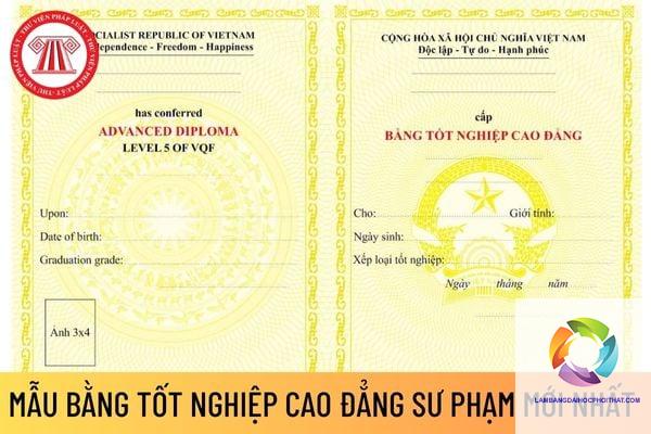 bằng cao đẳng sư phạm tiểu học có thi viên chức được không - Image 3
