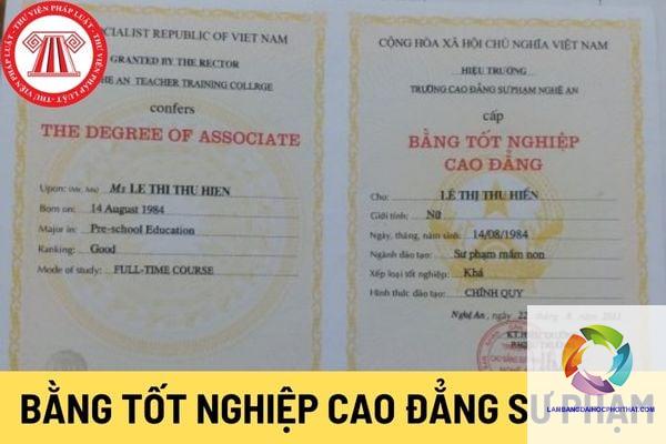 bằng cao đẳng sư phạm tiểu học có thi viên chức được không - Image 4