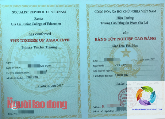 bằng cao đẳng sư phạm tiểu học là gì - Image 1