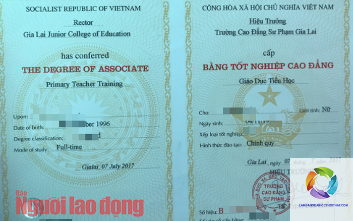 bằng cao đẳng sư phạm tiểu học làm giáo viên được không - Image 2