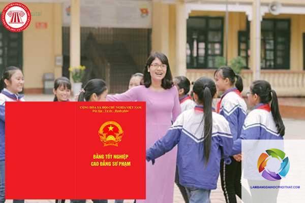 bằng cao đẳng sư phạm tiểu học làm giáo viên được không - Image 3