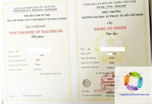 bằng cao đẳng sư phạm tiểu học làm giáo viên được không - Image 4