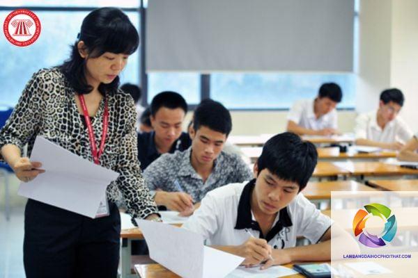 bằng cao đẳng sư phạm tiểu học làm trợ giảng được không - Image 5