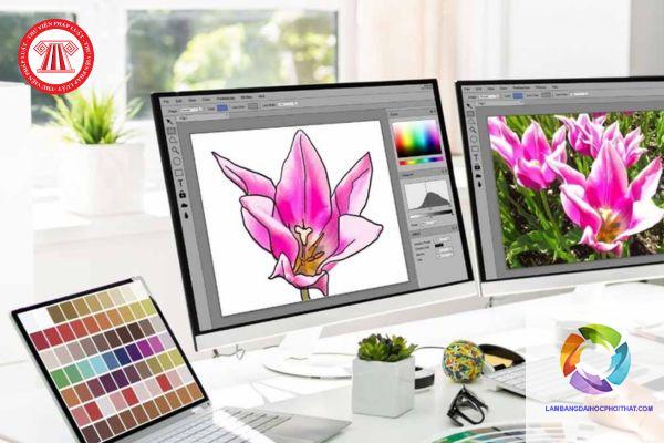 bằng cao đẳng thiết kế đồ họa là gì