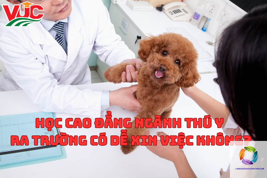bằng cao đẳng thú y có dễ xin việc không - Image 2