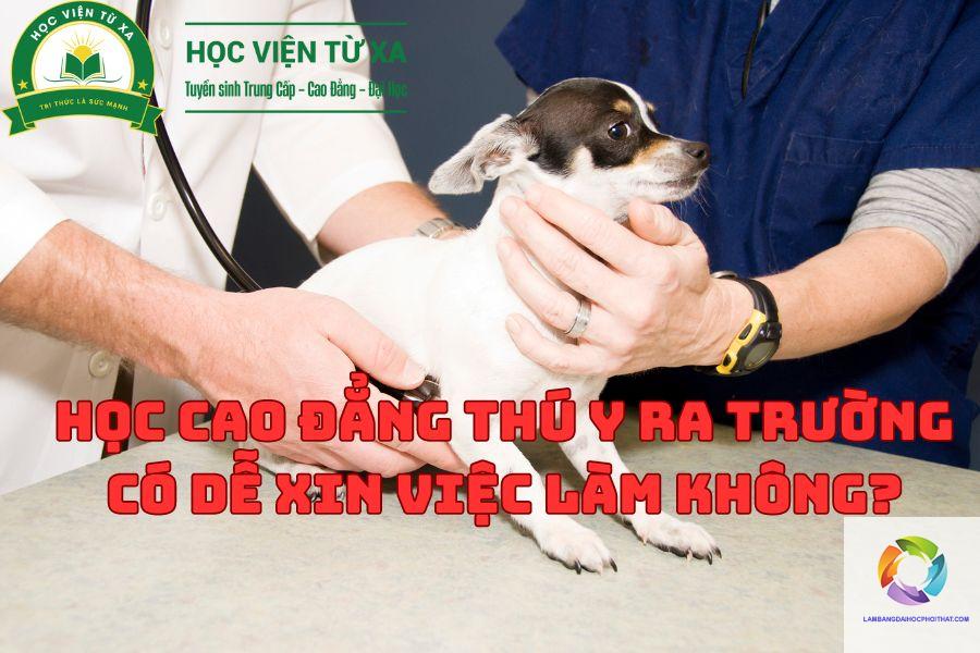 bằng cao đẳng thú y có dễ xin việc không - Image 4