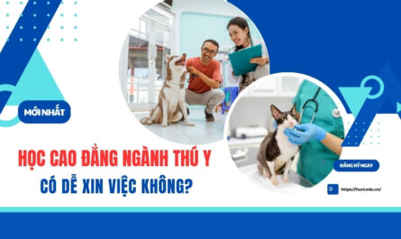 bằng cao đẳng thú y có dễ xin việc không