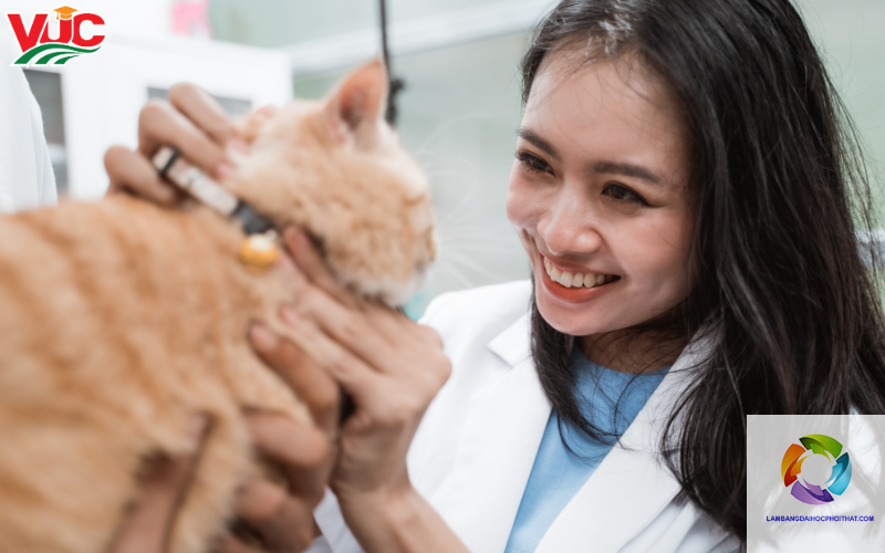 bằng cao đẳng thú y có dễ xin việc không - Image 5